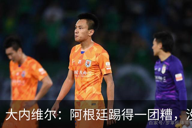 大内维尔：阿根廷踢得一团糟，没有梅西他们达不到这样的高度