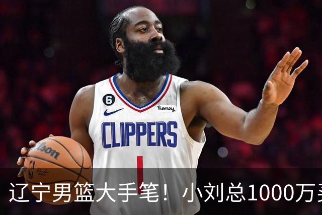 辽宁男篮大手笔！小刘总1000万买断段睿骐，4年B类合同，赵继伟接班人！
